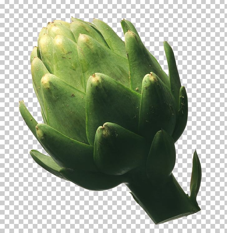 Artichoke Cynara Vegetable Plant Food PNG, Clipart, Artichoke, Bud, Cynara, Flower, Food Free PNG Download