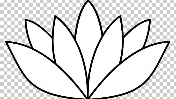 Drawing Nelumbo Nucifera PNG, Clipart, Angle, Area, Art, Black And White, Branch Free PNG Download