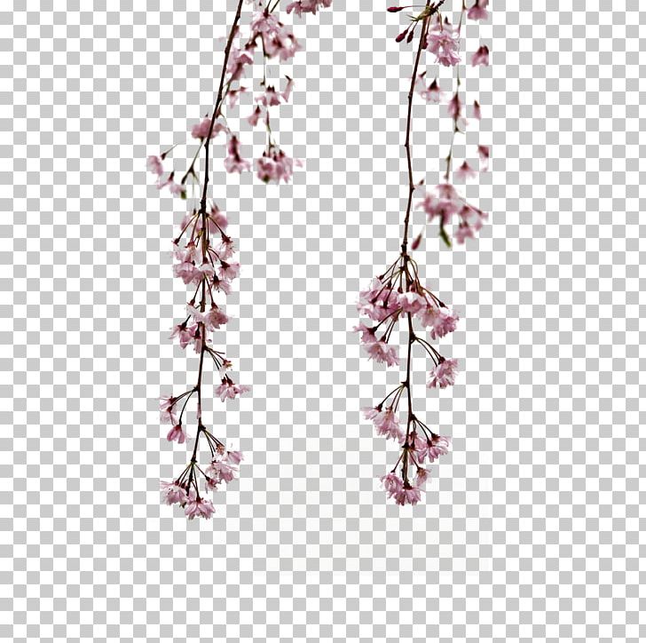 Flower Gratis PNG, Clipart, Body Jewelry, Encapsulated Postscript, Euclidean Vector, Flower Bouquet, Flower Pattern Free PNG Download