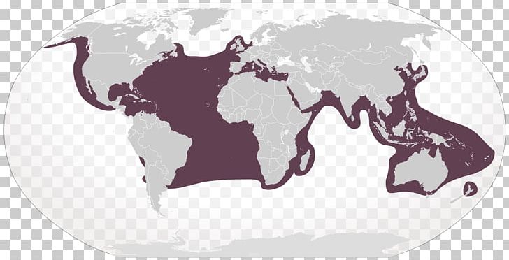 Globe World Map Border PNG, Clipart, Blank Map, Border, Carnivoran, Cattle Like Mammal, Drawing Free PNG Download