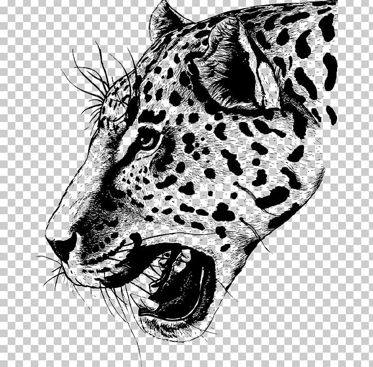 Leopard Head Tiger Drawing PNG, Clipart, Animals, Big Cats, Black And White, Carnivoran, Cat Like Mammal Free PNG Download