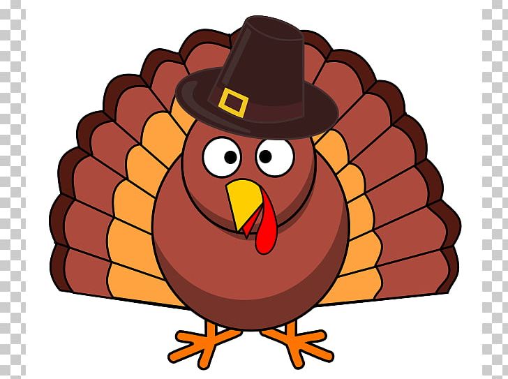 Thanksgiving Turkeys Turkey Meat PNG, Clipart, Animation, Beak, Bird, Boy Turkey Cliparts, Cartoon Free PNG Download