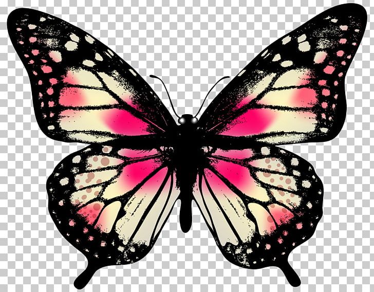 Butterfly Photography PNG, Clipart, Art, Arthropod, Brush Footed Butterfly, Butterflies And Moths, Butterfly Free PNG Download