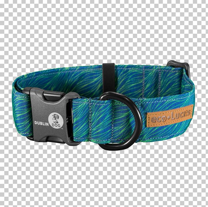 Dog Collar Cat Veterinarian PNG, Clipart, Animals, Bag, Belt, Buckle, Cat Free PNG Download