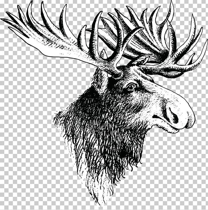 Moose Deer Elk Drawing PNG, Clipart, Animals, Antler, Art, Black And White, Cattle Like Mammal Free PNG Download