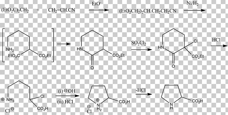 Proline Glutamic Acid Biosynthesis Chemical Synthesis Amine PNG, Clipart, Alanine, Amine, Amino Acid, Angle, Area Free PNG Download