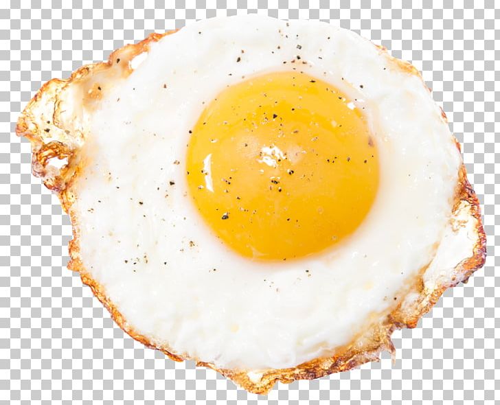 sunny side up egg png PNG & clipart images