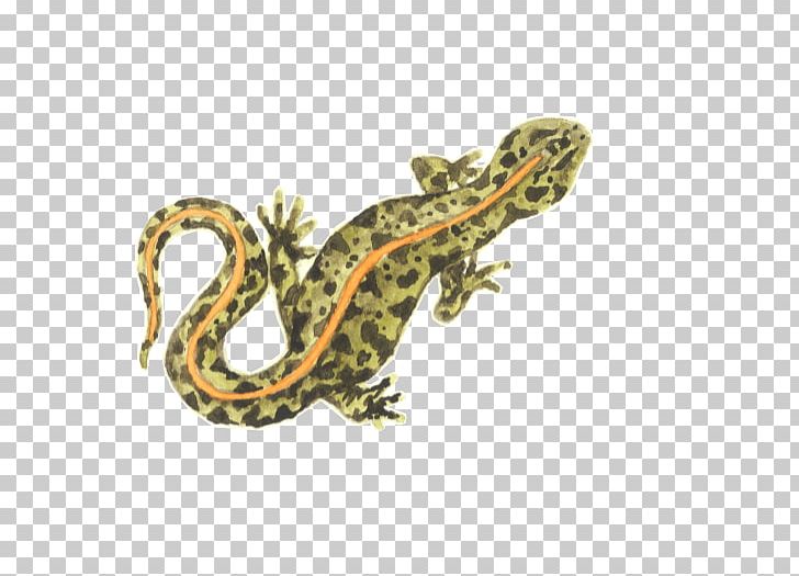 Gecko Lizard Amphibian Fauna Terrestrial Animal PNG, Clipart, Amphibian, Animal, Animals, Fauna, Gecko Free PNG Download