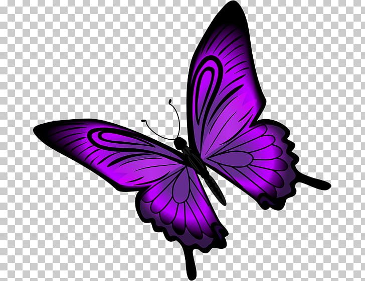 Monarch Butterfly Insect Greta Oto PNG, Clipart, Arthropod, Brush Footed Butterfly, Butterflies And Moths, Butterfly, Clip Art Free PNG Download