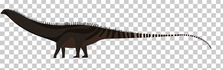 Tyrannosaurus Diplodocus Daspletosaurus Argentinosaurus Dinosaur PNG, Clipart, Alb, Amnh 5027, Art, Carnivoran, Corn On The Cob Free PNG Download