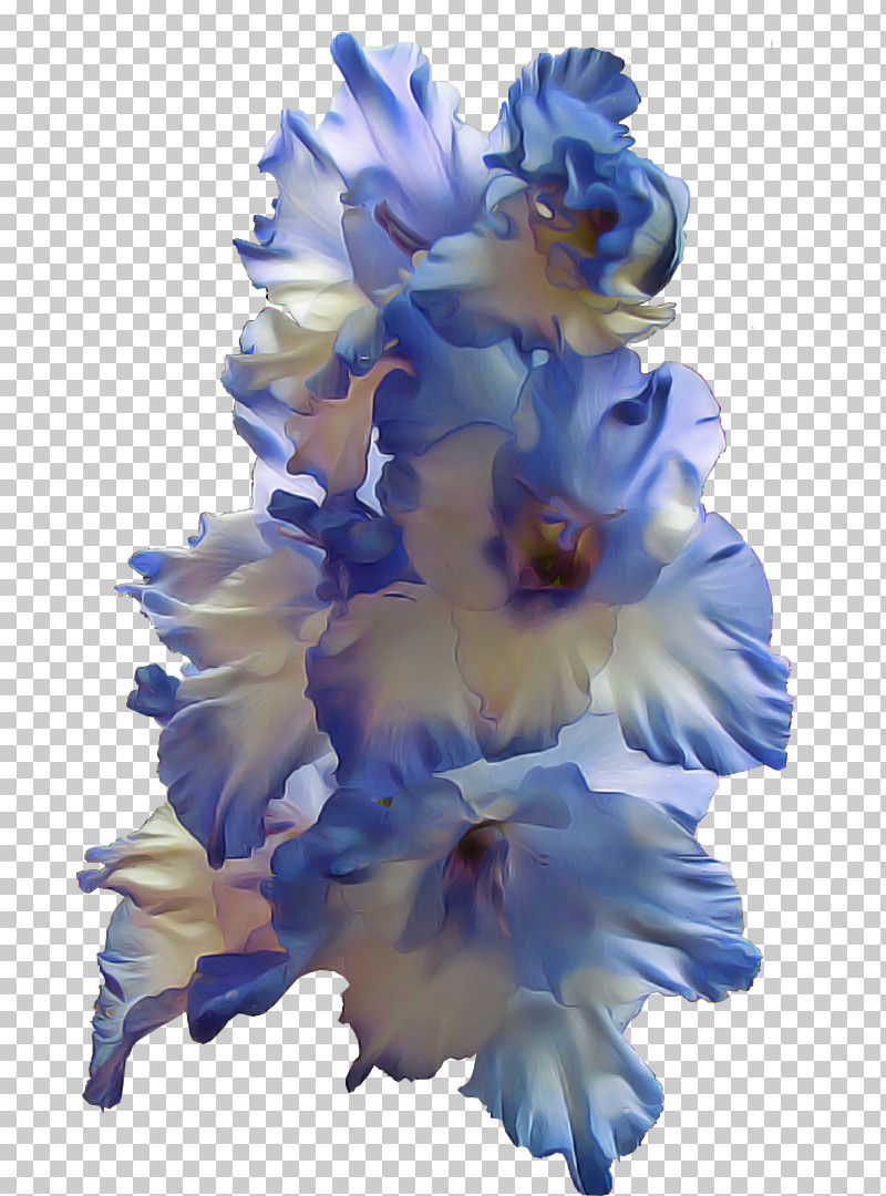 Blue Flower Plant Petal Cut Flowers PNG, Clipart, Blue, Cut Flowers, Delphinium, Flower, Gladiolus Free PNG Download