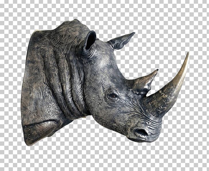 Rhinoceros Animal Scale Models Polar Bear PNG, Clipart,  Free PNG Download