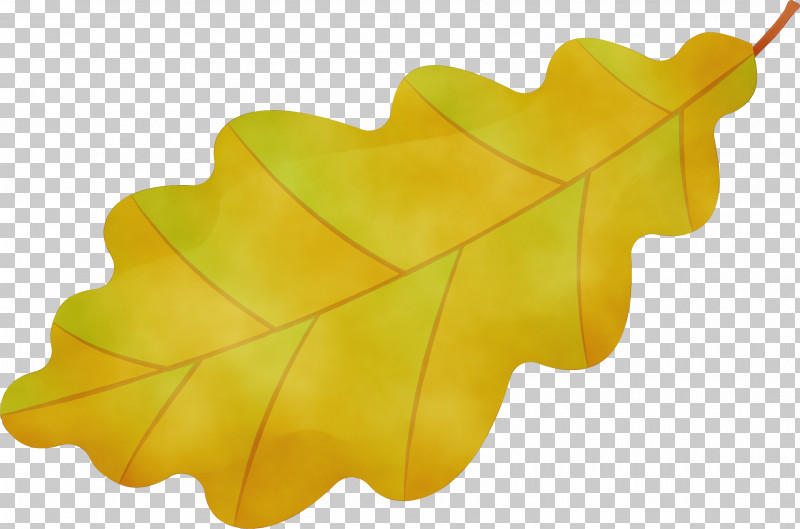 Leaf Yellow M-tree Tree Biology PNG, Clipart, Biology, Leaf, Mtree, Paint, Plants Free PNG Download
