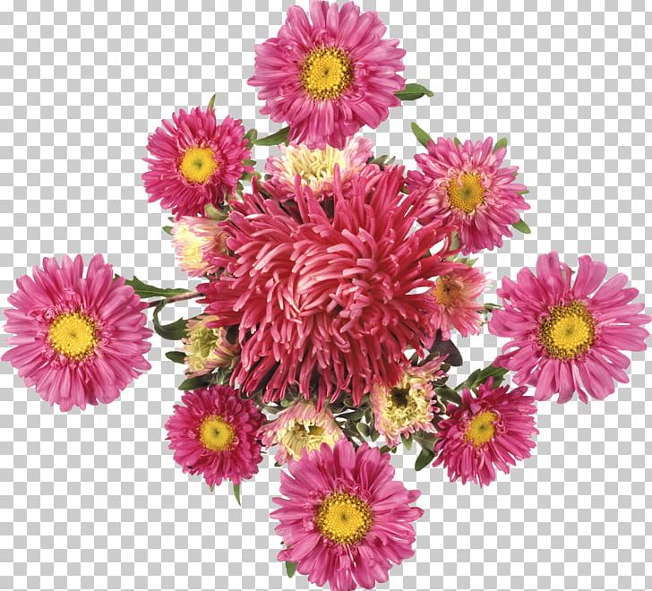 Chrysanthemum Cut Flowers PNG, Clipart, Annual Plant, Argyranthemum Frutescens, Aster, Dahlia, Daisy Family Free PNG Download