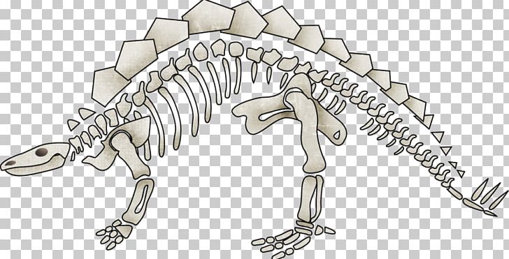 Dinosaur Tyrannosaurus Human Skeleton PNG, Clipart, Animal, Body Jewelry, Cartoon, Cartoon Dinosaur, Cute Dinosaur Free PNG Download