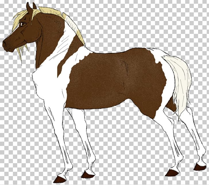 Foal Mane Stallion Mare Mustang PNG, Clipart, Animal Figure, Bridle, Colt, Dog Harness, Foal Free PNG Download