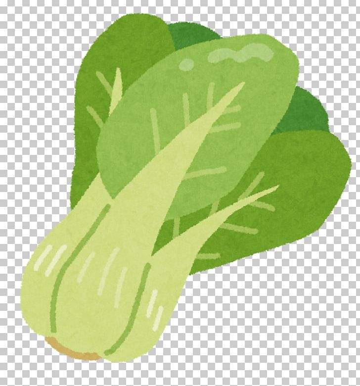 Leaf Vegetable Bok Choy Chinese Cabbage Tatsoi 中国野菜 PNG, Clipart, Bok Choy, Capitata Group, Chinese Broccoli, Chinese Cabbage, Food Free PNG Download