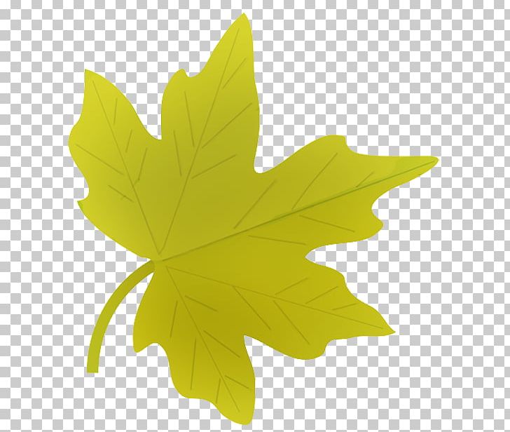Leaf Autumn PNG, Clipart, Autumn, Autumn Leaf Color, Blog, Green, Leaf Free PNG Download