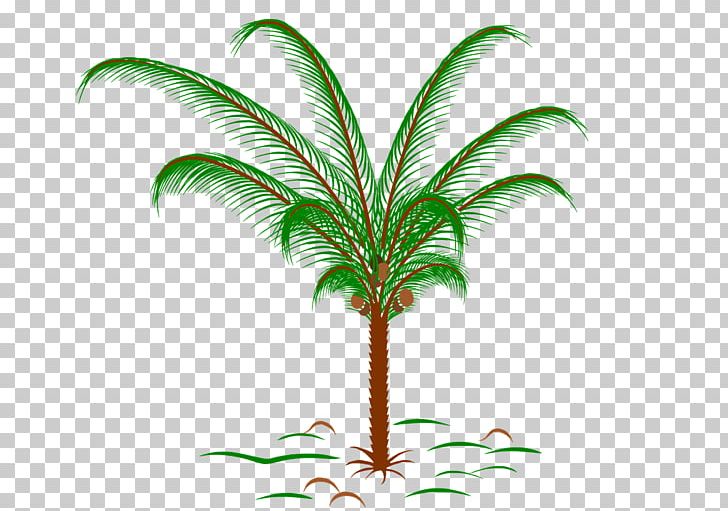Paper Arecaceae Tropics Palm Branch Palm-leaf Manuscript PNG, Clipart, Arecaceae, Arecales, Drawing, Flower, Flowerpot Free PNG Download