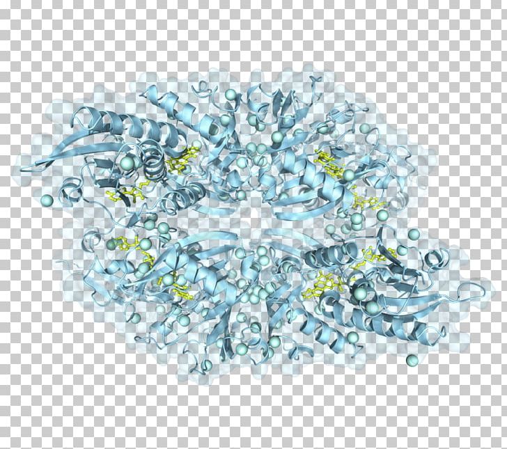 Transparency And Translucency Active Site Residue Protein PNG, Clipart, Active Site, Blue, Circle, Cofactor, Coloring Book Free PNG Download
