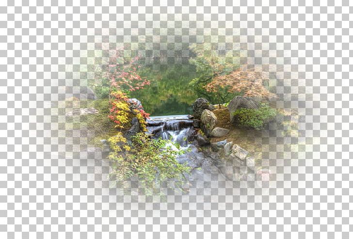 Water PNG, Clipart, Grass, Nature, Tree, Water Free PNG Download