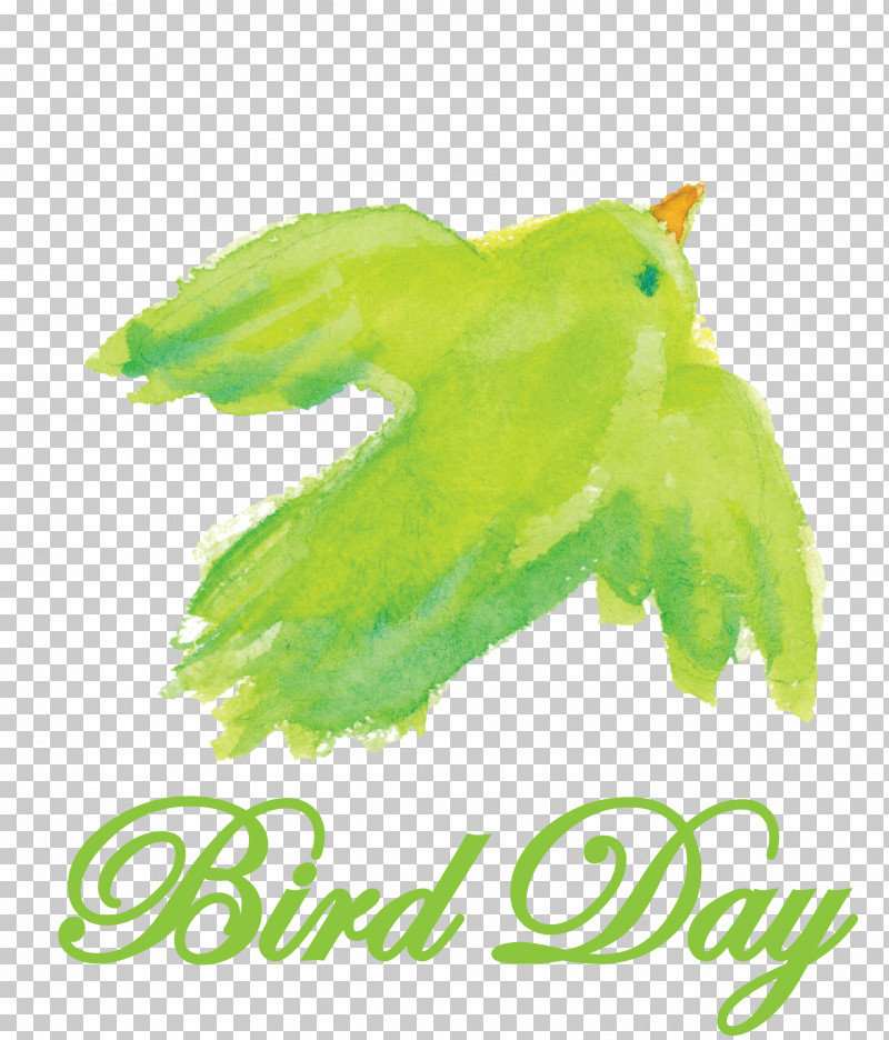 Bird Day Happy Bird Day International Bird Day PNG, Clipart, Biology, Bird Day, Corporation, Day Spa, Green Free PNG Download