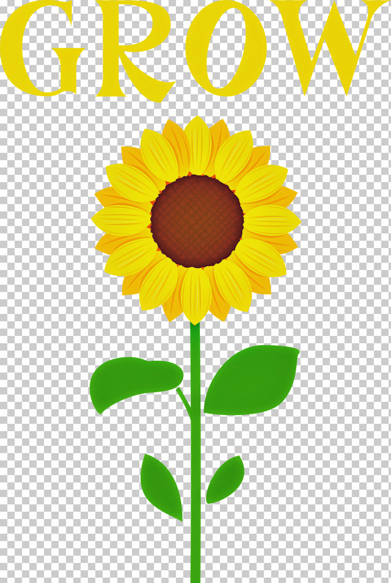 GROW Flower PNG, Clipart, Flower, Grow, Royaltyfree, Vector Free PNG Download