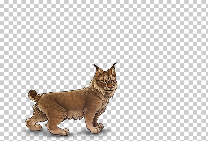 Cat Whiskers Lynx Art Lion PNG, Clipart, Animal, Animals, Art, Artist, Big Cat Free PNG Download