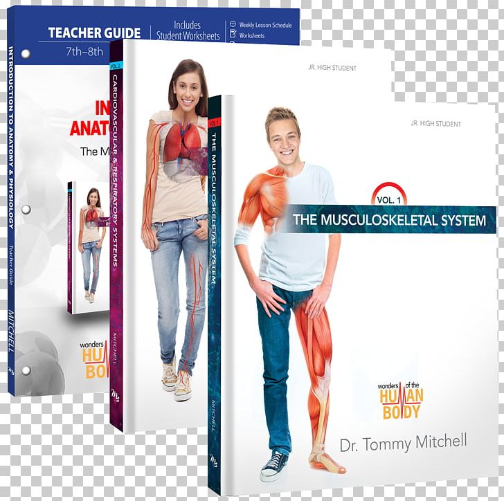 Introduction To Anatomy & Physiology: The Musculoskeletal System Introduction To Anatomy & Physiology (Teacher Guide) Human Musculoskeletal System PNG, Clipart, Advertising, Anatomy, Bone, Brand, Circulatory System Free PNG Download