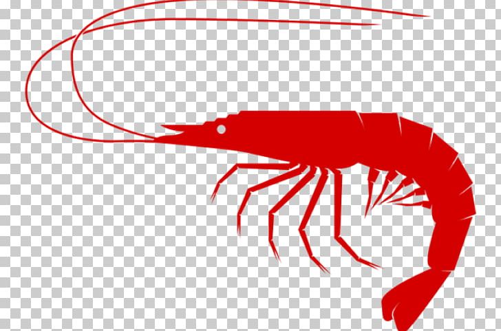 Portable Network Graphics Shrimp And Prawn As Food Psd PNG, Clipart, Animals, Artwork, Beak, Computer, Computer Icon Free PNG Download