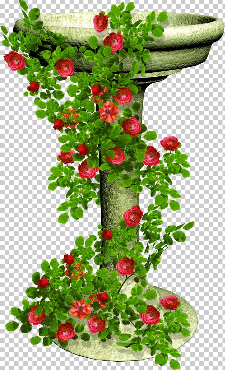 Rose Flower PNG, Clipart, Aquifoliaceae, Branch, Floral Design, Floristry, Flower Free PNG Download