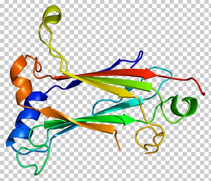 TRAF6 TNF Receptor Associated Factor Protein IRAK1 Ubiquitin Ligase PNG, Clipart, Area, Artwork, Factor, Gene, Graphic Design Free PNG Download