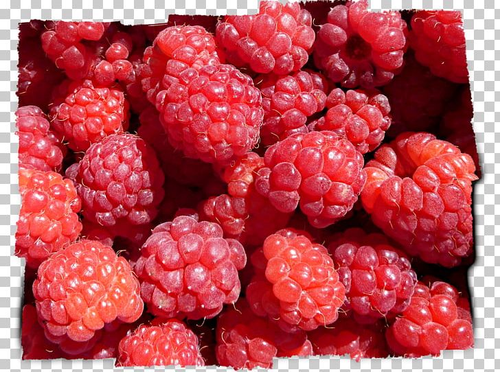 Wineberry Loganberry Boysenberry Tayberry Raspberry PNG, Clipart, Berry, Boysenberry, Cranberry, Food, Fruit Free PNG Download