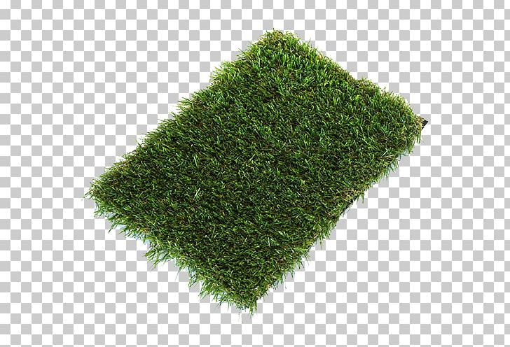 Artificial Turf Lawn Garden Fitted Carpet Thatch PNG, Clipart, Artificial Turf, Color, Evergreen, Fiber, Fieldturf Free PNG Download