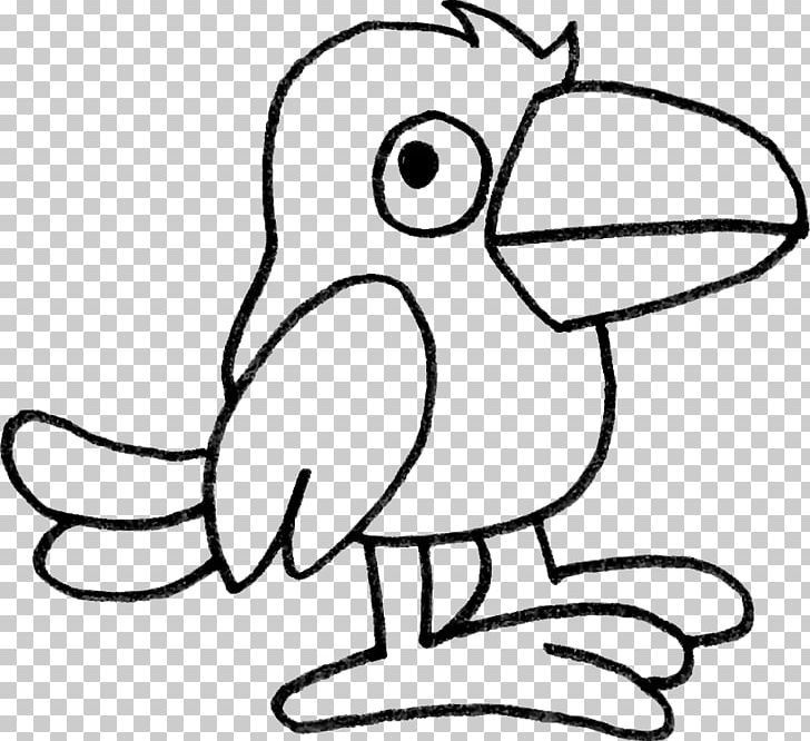 Beak Drawing Bird Line Art PNG, Clipart, Animals, Art, Artwork, Beak, Behavior Free PNG Download