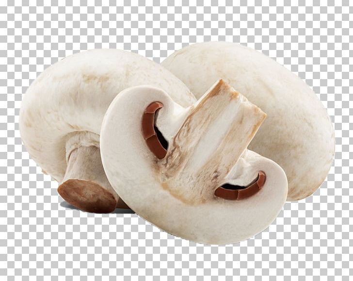 Common Mushroom Stock Photography Edible Mushroom Fungus PNG, Clipart, Agaricaceae, Agaricomycetes, Agaricus, Background White, Black White Free PNG Download