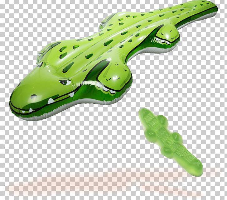 Frog Reptile PNG, Clipart, Amphibian, Animals, Frog, Green, Organism Free PNG Download