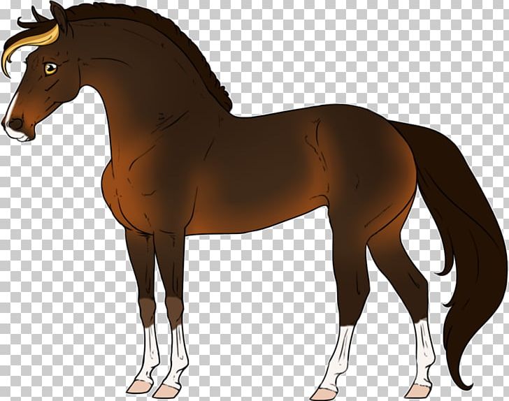 Mane Pony Stallion Foal Rein PNG, Clipart, Animal Figure, Bit, Bridle, Colt, English Riding Free PNG Download