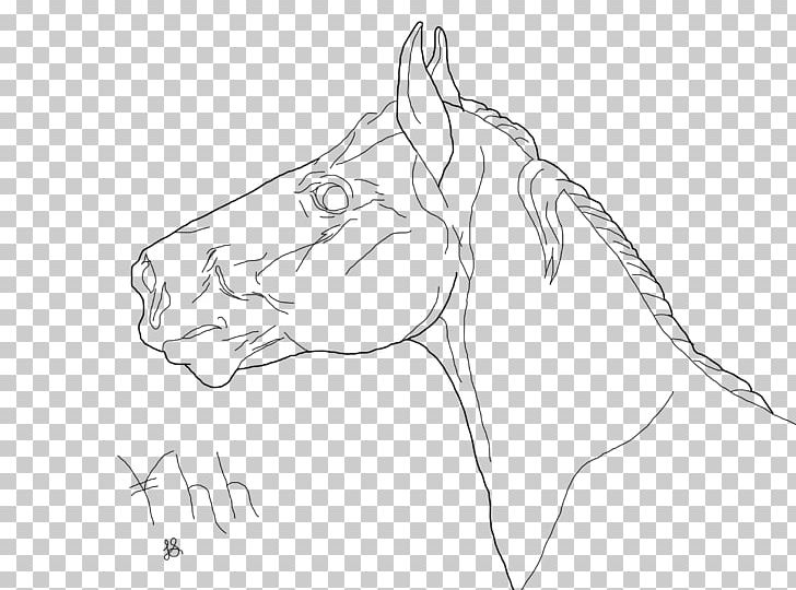 Mustang Art Drawing Gray Wolf Sketch PNG, Clipart, Angle, Animal, Arm, Art, Carnivoran Free PNG Download