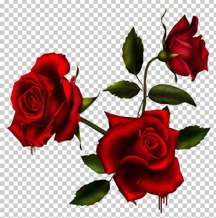 Rose Flower PNG, Clipart, China Rose, Cut Flowers, Deviantart, Digital Image, Floral Design Free PNG Download