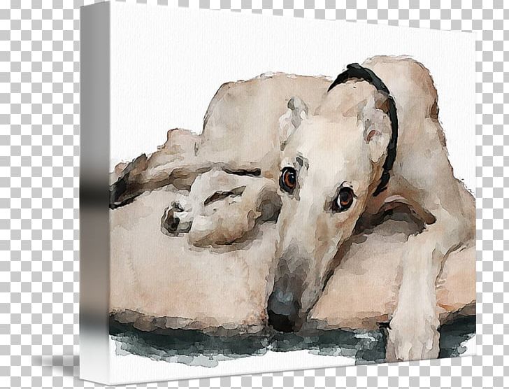 Whippet Borzoi Sloughi Spanish Greyhound Saluki PNG, Clipart, Art, Borzoi, Breed, Canvas, Carnivoran Free PNG Download