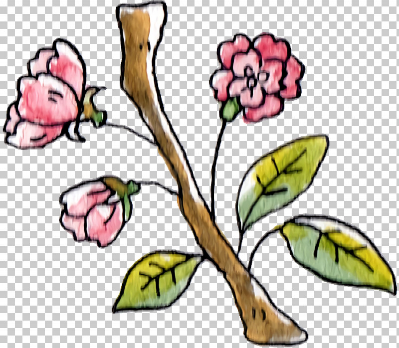 Floral Design PNG, Clipart, Biology, Branch, Cut Flowers, Floral Design, Flower Free PNG Download