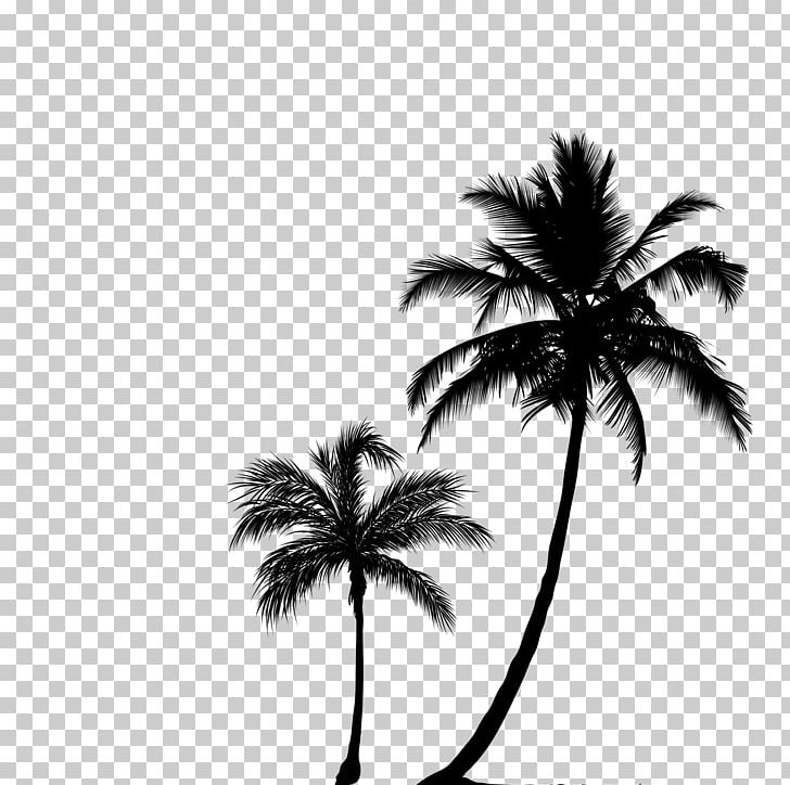 Arecaceae Tree Silhouette PNG, Clipart, Arecales, Black And White, Black Forest, Computer Wallpaper, Drawing Free PNG Download