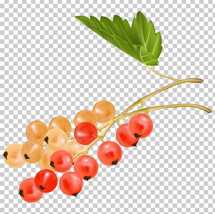 Cherry Juice Zante Currant Fruit Grape PNG, Clipart, Auglis, Banana, Berry, Blueberry, Cherry Free PNG Download