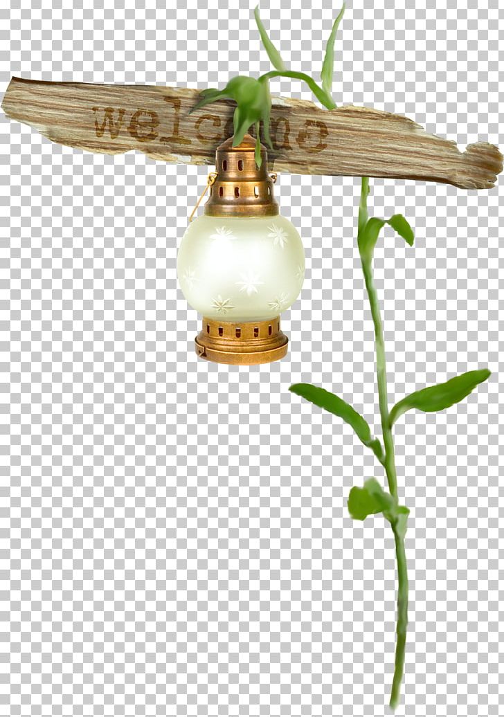 Oil Lamp Street Light Light Fixture Lantern PNG, Clipart, Candles, Incandescent Light Bulb, Insect, Invertebrate, Lamp Free PNG Download