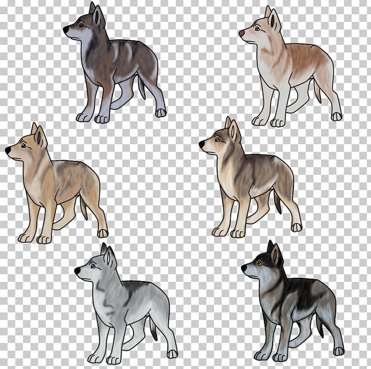Saarloos Wolfdog Czechoslovakian Wolfdog Italian Greyhound Whippet Sloughi PNG, Clipart, Animal, Animals, Carnivoran, Czechoslovakian Wolfdog, Dog Free PNG Download