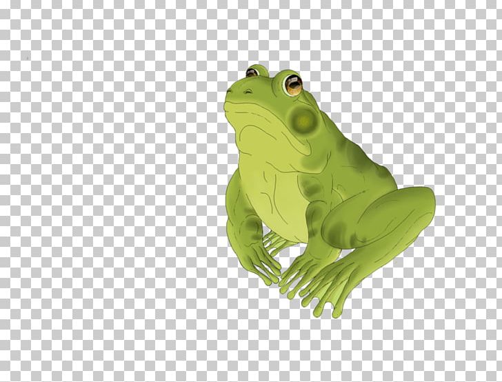 True Frog Edible Frog Digital Illustration PNG, Clipart, Amphibian, Animals, Art, Cartoon, Digital Art Free PNG Download