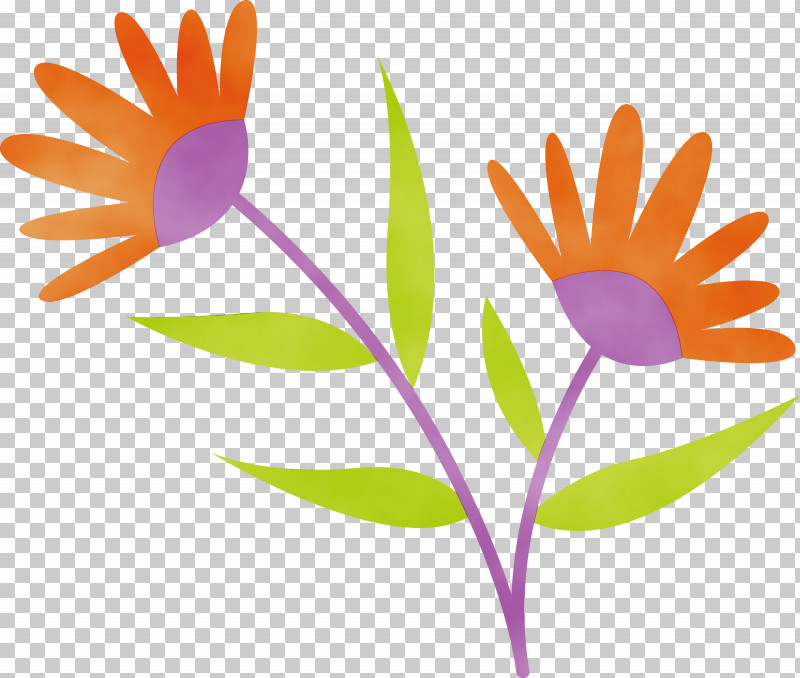 Plant Stem Leaf Petal Flower Meter PNG, Clipart, Biology, Flower, Leaf, Meter, Paint Free PNG Download