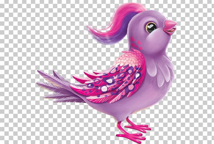 Magenta Feather Beak Chicken As Food PNG, Clipart, Angry Tiger, Animals, Beak, Bird, Chicken Free PNG Download