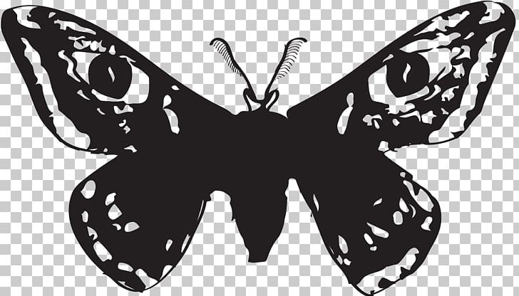 Monarch Butterfly Insect Nymphalidae Moth PNG, Clipart, Animal, Black And White, Brush Footed Butterfly, Butterflies And Moths, Butterfly Free PNG Download